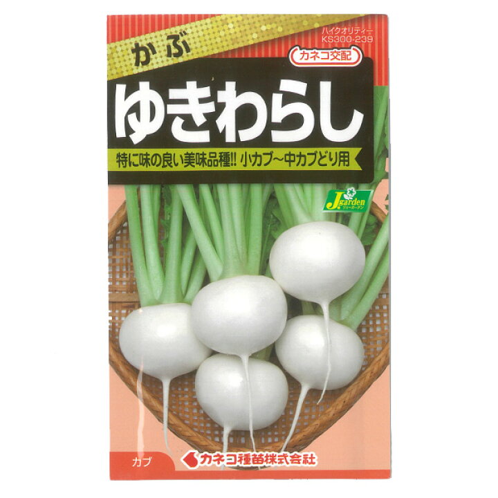 楽天市場 かぶ ゆきわらし 野菜タネ 園芸ネット プラス