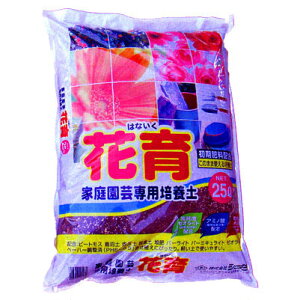 ƒ뉀|p|{yuԈv 25bg2܃Zbg