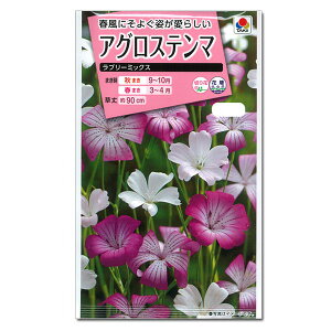 AOXe}Fu[~bNX̎[^LC ԃ^l]