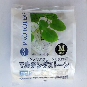 }`OXg[iMTCYj@1kgi}`OEpϐ΁j