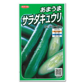 【有効期限26年10月】キュウリ：あまうまサラダきゅうり フリーダム[サカタ 野菜タネ]