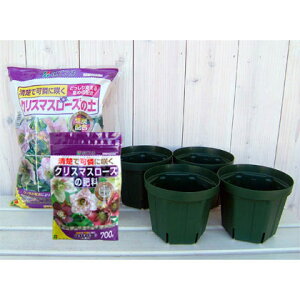 NX}X[Yp̔ƓyƔ엿̃ZbgFƂłȂ|bg5@4