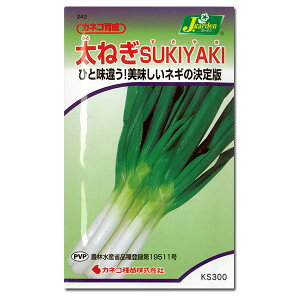 lMi˂EKjFSUKIYAKIi₫j*[^l]