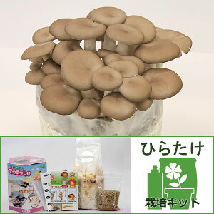 ؂̕c/͔̂|ZbgFł܂@Ђ炽