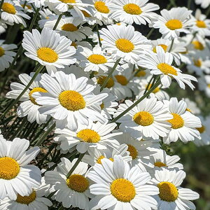 n[u̕c/sXieEW`EMNjF3|bg2Zbg