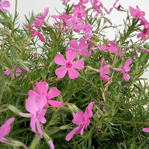 []ōiVoUNjF_jGNbV3|bg24Zbg