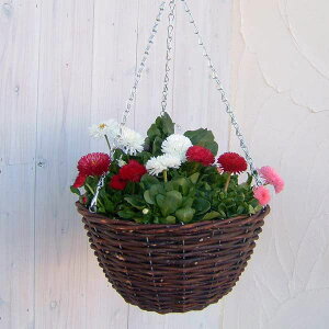 ^nMOoXPbgM(a30cmAye4bg)