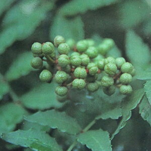 ؂̕c/RiTVEjFqiATNj4`5|bg*