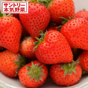 ؂̕c/C`SiGjF(R)i݂j3|bg