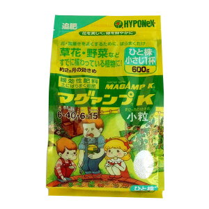 }O@vK500gi6-40-6-15j 3Zbg