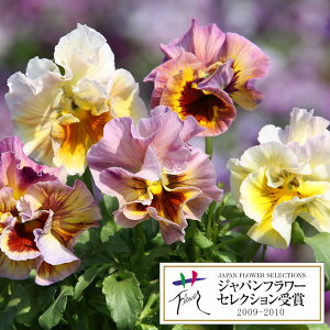 Ԃ̕c/pW[F[tAvRbg3.5|bg2Zbg