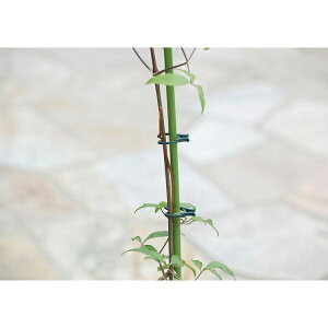 N}`XNbvF~bNX20i10A10j