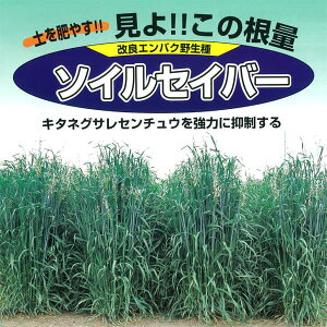 yL25N11zqqFG\CZCo[I[c 1kg[2A[@tAH܂ ^l]