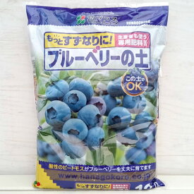 楽天市場 ツツジ 用土の通販