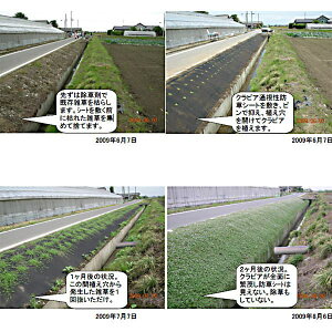 ʍ^CvhV[giȂj 2m×25m