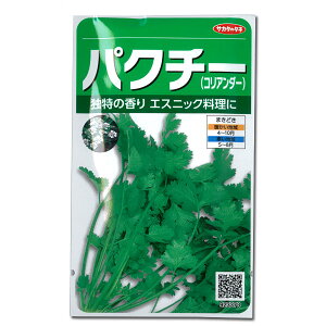 pN`[iRA_[j[TJ^@؃^l]