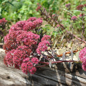 ϗtA/Z_Fo[gA_[\iJXo~Zoj3|bg