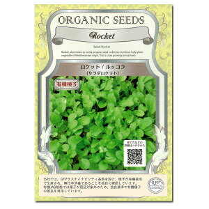 ؂̎FL@q@PbgT_ibRj[؃^l]