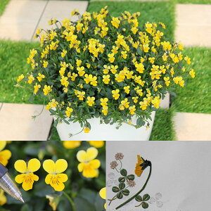 Ԃ̕c/[]MSKK[fɏփrIFt[bg@CG[3|bg12Zbg