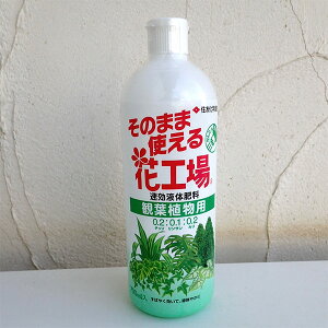 ̂܂܎gԍHFϗtAp700~bg*