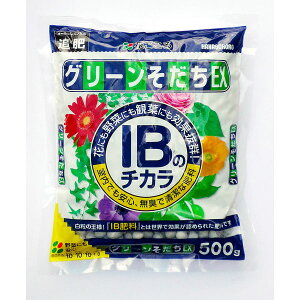 IB�̃`�J�� �O���[��������EX 500g����(�����엿�E10-10-10-1)