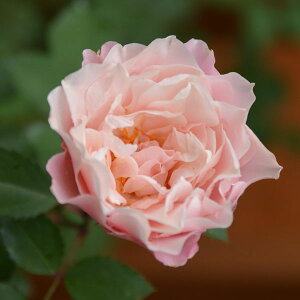 o̕c/[26N1{\]TEIGeBXF_tlc6pA