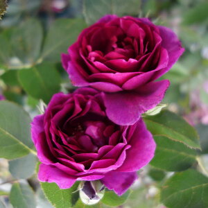 o̕c/[26N1{\]TEIGeBXFIfbZCAc6pA