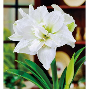 [25N12㒆{\]A}Xid炫jF@1|bgA