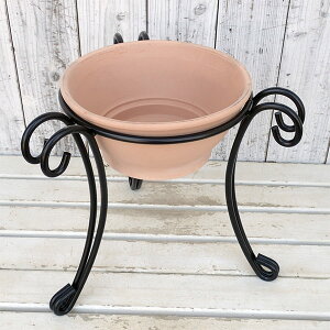 �g�X�J�[�i�F�X���[�X�{�[���z���C�g27cm�ƃt�����[�X�^���hYWSE-350�̃Z�b�g