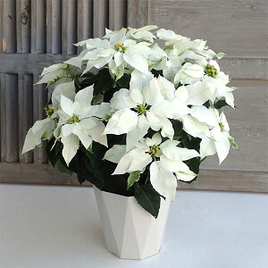 [25N11{\]vZ`AFsAzCg5A