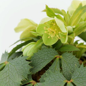 [25N11{\]i[Z[̃NX}X[YinjFA[O`tHEX@^bNVo[3.5O|bg