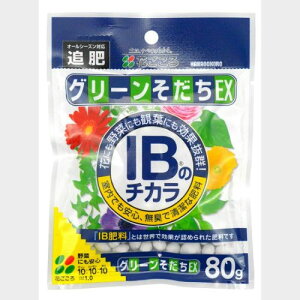 IB�̃`�J�� �O���[��������EX 80g����(�����엿�E10-10-10-1)