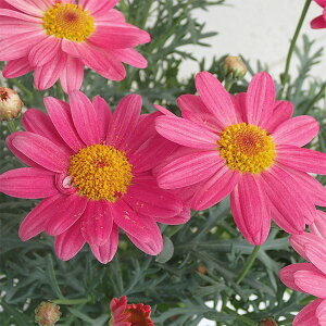 [26N1{\]}[KbgFVv[R[5A