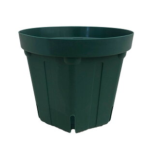 [��������]�Ƃ�ł��Ȃ��|�b�g�F5��CSM-150S�i���X�O���[���j180�Z�b�g