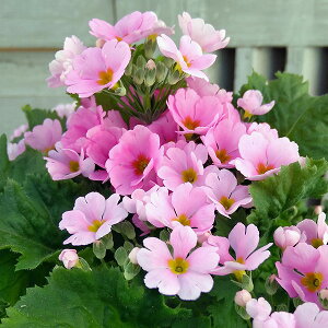 [25N12㒆{\]vEtWUNixmjFsNn5A