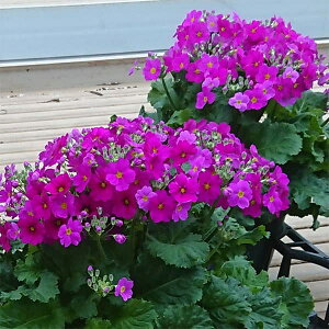 [25N12㒆{\]vEtWUNixmjFp[vn5A