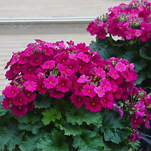 [25N12㒆{\]vEtWUNixmjFbhn5A