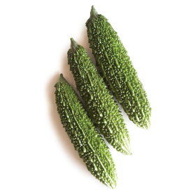 野菜の苗/[26年4月下旬予約]ゴーヤ（苦瓜・ニガウリ）：ちゅらゴーヤー接木苗3号ポット