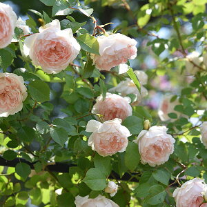 o̕c/[26N1{\]TEIGeBXFtVXEo[lbgc6pA(o)