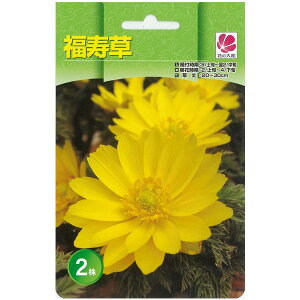 /[25N11{\]tNW\EFicj2