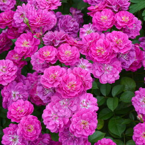 o̕c/[26N1{\]|AT[YFBEi^[c6pA