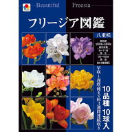 球根/[26年9月中下旬予約]フリージア図鑑：八重咲き（10品種の球根セット）