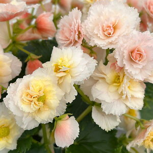 [26N1{\]G`I[xSjAFt@G sN5A