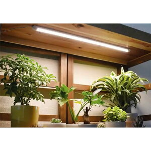 LED�v�����g���C�g�F�o�[�^�C�vLPL04�^3�{�Z�b�g