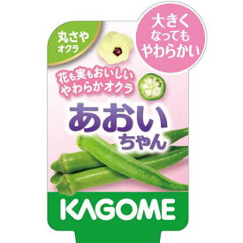 野菜の苗/[24年4月下旬予約]オクラ：あおいちゃん3号ポット 3株セット