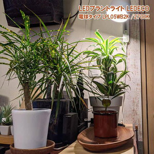 LED�v�����g���C�g�F���f�R LPL05WB2K �A���琬�pLED �d���^�C�v