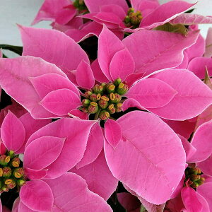 [25N11{\]vZ`AFzbgsN4A*