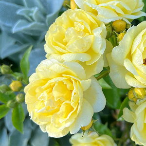 o̕c/[26N1{\]lG璆փoFv`EWc6pA