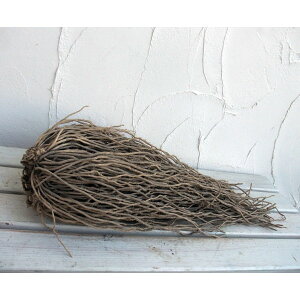 ؂̕c/[][25N12㒆{\]AXpKXFΌsinjf@芔 LTCY()@ 6Zbg