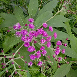 [25N12㒆{\]vEtWUNixmjFoCJ[bh5Aiփbhj